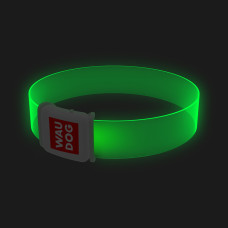 Нашийник для собак з підсвічуванням WAUDOG LED, магнітна застібка, Ш 25 мм, Дов 60 см
