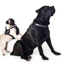 Шлея "Dog Extreme" "POLICE" №2 (В:40-60см), чорний