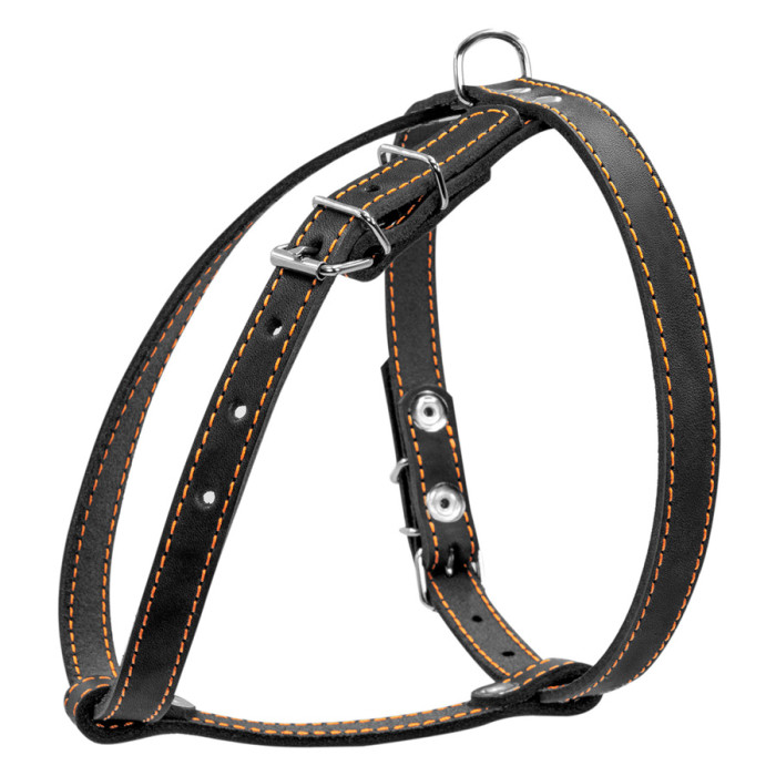 Шлея "CoLLaR" одинарна для малих порід собак (ширина 14мм, А:40-48см, В:43-51см) чорний