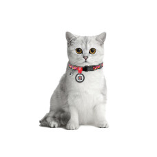 Нашийник для котів нейлоновий WAUCAT Nylon з QR паспортом, малюнок "Банани на рожевому", пластиковий фастекс, XS, Ш 10 мм, Дов 20-30 см