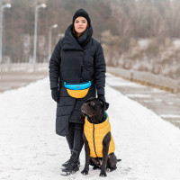 Двостороння курточка AiryVest для собак , розмір L 65, жовто-блакитна