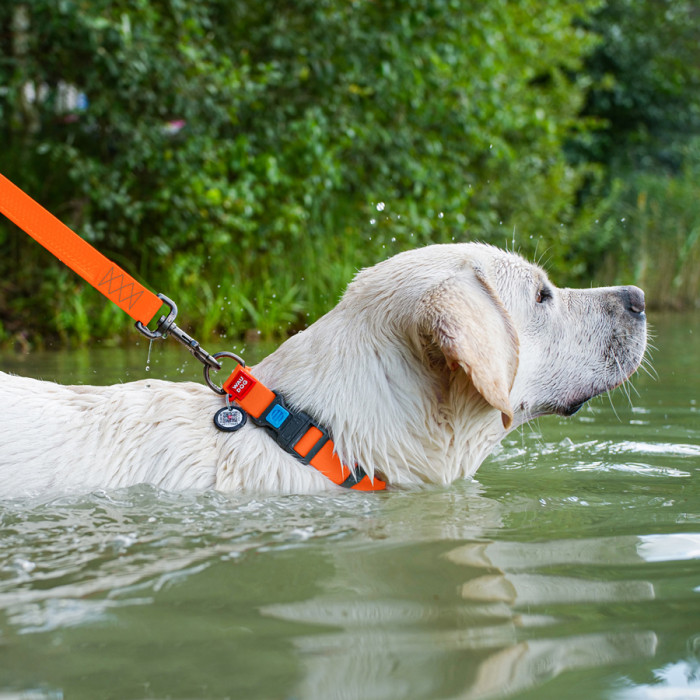 Нашийник для собак водостійкий WAUDOG Waterproof c QR паспортом, пластикова пряжка-фастекс, Ш 25 мм, Дов 38-58 см, помаранчевий
