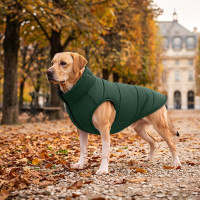 Курточка для собак WAUDOG Re-clothes двостороння, L65, A 62-65, B 87-89, C 60-65, смарагдовий
