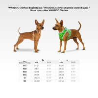 Шлея для собак м'яка WAUDOG Clothes з QR паспортом, "Colors of freedom", S2, В 46-50 см, С 43-45 см