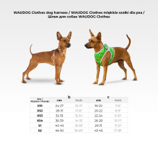 Шлея для собак м'яка WAUDOG Clothes з QR паспортом, "Colors of freedom", S2, В 46-50 см, С 43-45 см