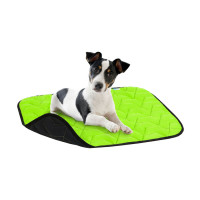 AiryVest
