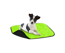 AiryVest
