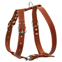 Шлея "CoLLaR" одинарна для середніх собак (ширина 25мм, А:49-68см, В:68-80см) коричневий