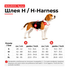 Шлея для собак анатомічна H-подібна WAUDOG Nylon з QR-паспортом, малюнок "Літо", пластиковий фастекс, S, Ш 15 мм, A 28-42, B 33-50