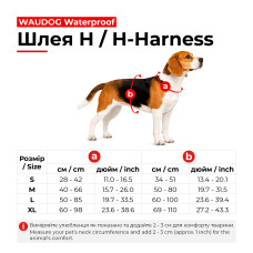 Шлея для собак водостійка анатомічна Н-подібна WAUDOG Waterproof з QR-паспортом, пластикова пряжка-фастекс, М, Ш 20 мм, А 40-66 см, В 50-80 см, салатовий