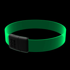 Нашийник для собак з підсвічуванням WAUDOG LED, RGB, Type-C, регульований, Ш 25 мм, Дов 60 см