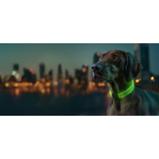 Нашийник для собак з підсвічуванням WAUDOG LED, RGB, Type-C, регульований, Ш 25 мм, Дов 60 см