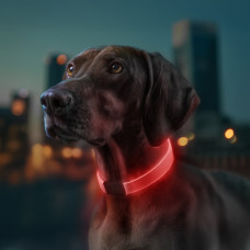 Нашийник для собак з підсвічуванням WAUDOG LED, RGB, Type-C, регульований, Ш 25 мм, Дов 60 см
