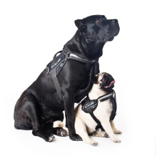 Шлея "Dog Extreme" "POLICE" №2 (В:40-60см), чорний