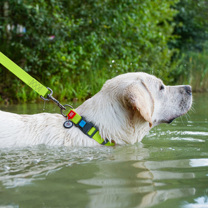 Нашийник для собак водостійкий WAUDOG Waterproof c QR паспортом, пластикова пряжка-фастекс, Ш 25 мм, Дов 38-58 см, салатовий