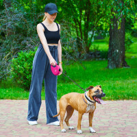Повідець-рулетка для собак WAUDOG R-leash з контейнером для пакетів, світловідбивна стрічка, L, до 40 кг, 5 м, рожевий