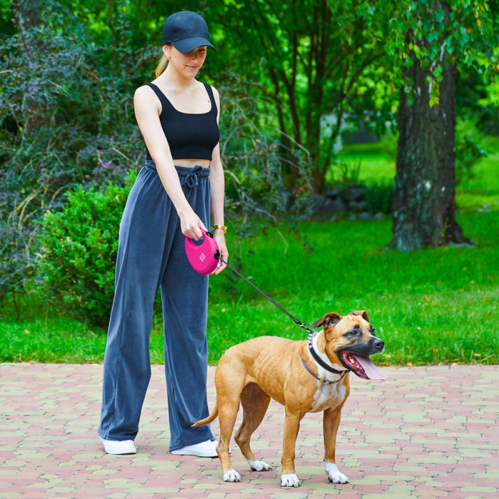 Повідець-рулетка для собак WAUDOG R-leash з контейнером для пакетів, світловідбивна стрічка, L, до 40 кг, 5 м, рожевий