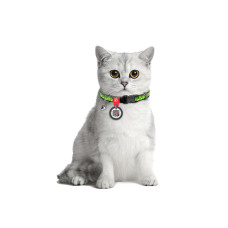 Нашийник для котів нейлоновий WAUCAT Nylon з QR паспортом, малюнок "Авокадо", пластиковий фастекс, Ш 10 мм, Дов 20-30 см