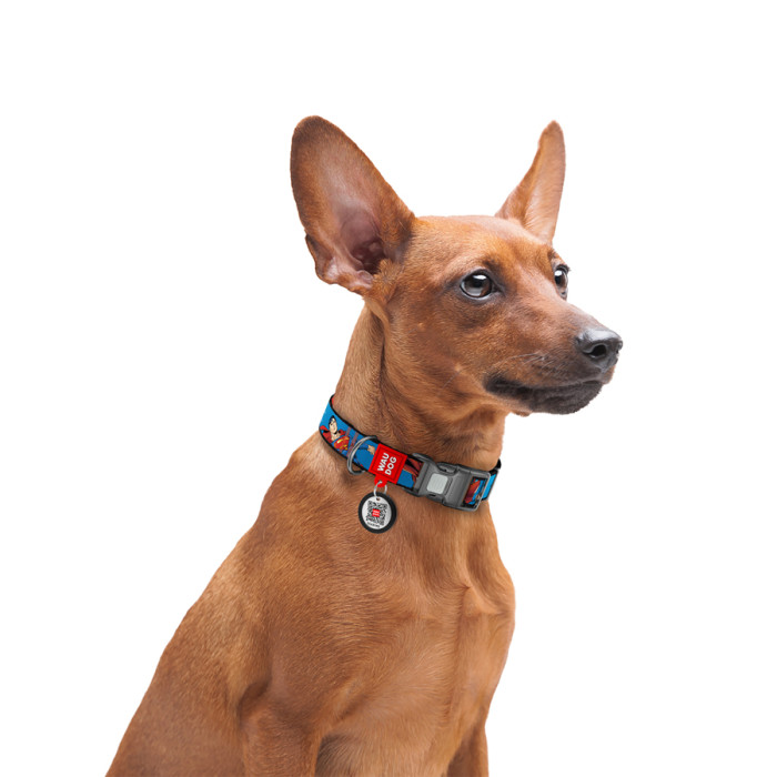 Нашийник для собак нейлоновий WAUDOG Nylon з QR паспортом, малюнок "Сила Супермена", пластиковий фастекс, S, Ш 15 мм, Дов 25-35 см