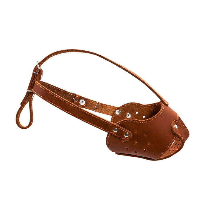 Намордник "CoLLaR" (стафф) коричневий
