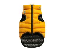 AiryVest