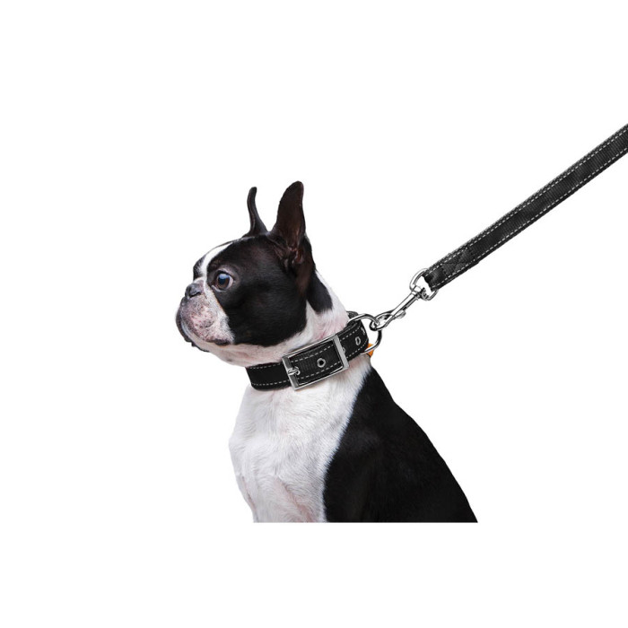 Повідець "Dog Extreme" з нейлону подвійний (ширина 20мм, довжина 122см), чорний