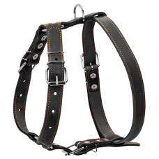 Шлея "CoLLaR" одинарна для середніх собак (ширина 25мм, А:49-68см, В:68-80см) чорний