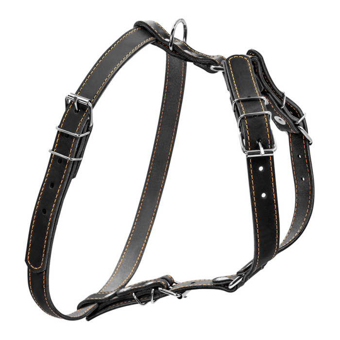 Шлея "CoLLaR" одинарна для малих та середніх собак (ширина 20мм, А:40-56см, В:57-65см) чорний