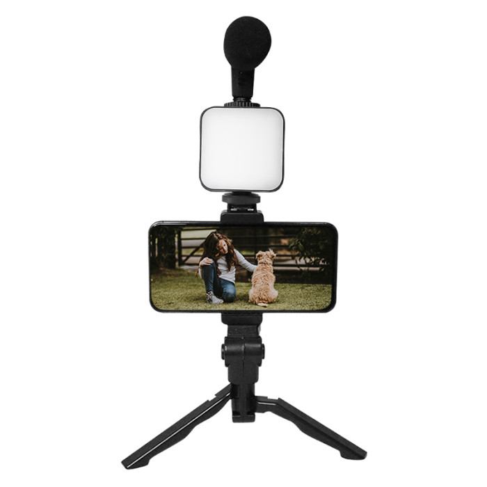 Комплект для влогінгу VIDEO-MAKING KIT AY49 для смартфона з перехідником Type-C • Набір блогера для телефону 4в1 AY-49