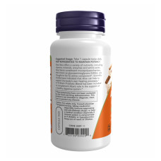Now Foods Aloe Vera 10000 & Probiotics - 60 vcaps