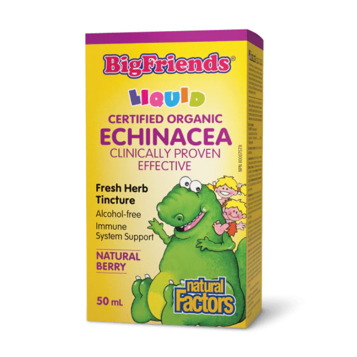 Natural Factors BigFriends Echinacea Alcohol-Free Fresh Herb Tincture for Kids - 50 ml