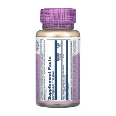 Solaray Bilberry Berry Extract 42mg - 60 vcaps
