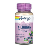 Solaray Bilberry Berry Extract 42mg - 60 vcaps