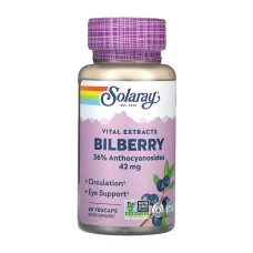 Solaray Bilberry Berry Extract 42mg - 60 vcaps