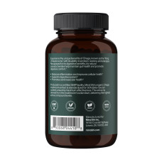Mind Shi Chaga Mushroom 1000 mg - 60 vegcaps (До 02.27)