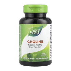 Nature's Way Choline 500 mg - 100 tabs
