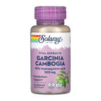 Solaray Garcinia Cambogia Fruit Ext 500mg - 60 veg caps