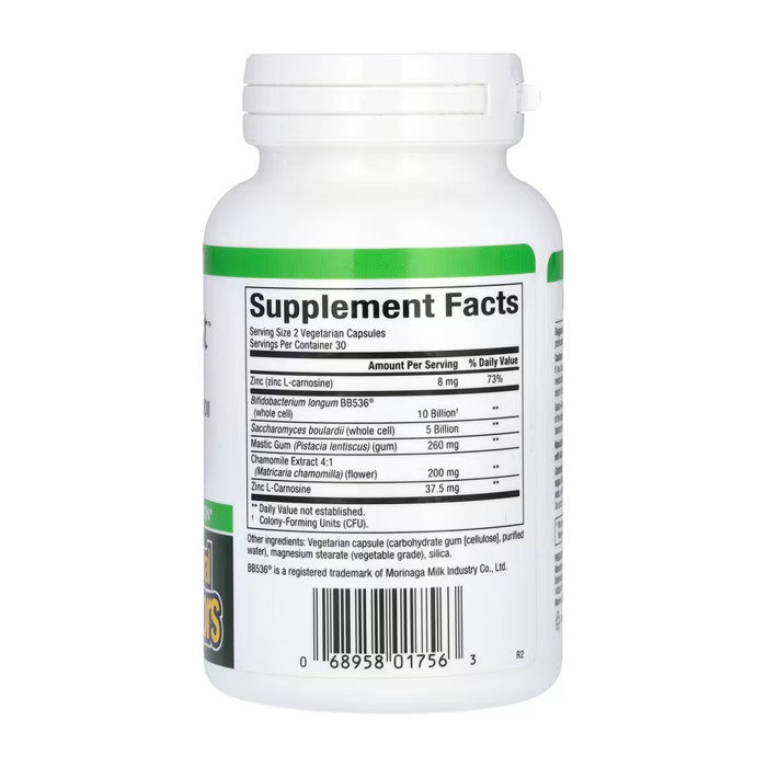 Natural Factors GastroAssist - 60 vcaps