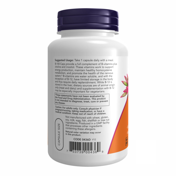 Now Foods B-100 - 100 vcaps