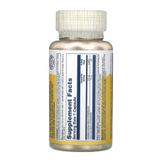 Solaray Pantothenic Acid 250mg - 100 caps