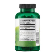 Swanson Probiotic for Daily Wellness 1 Billion Cfu - 120 caps