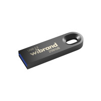 Флеш-накопичувач Wibrand USB 3.2 Gen1 Eagle 256GB Grey