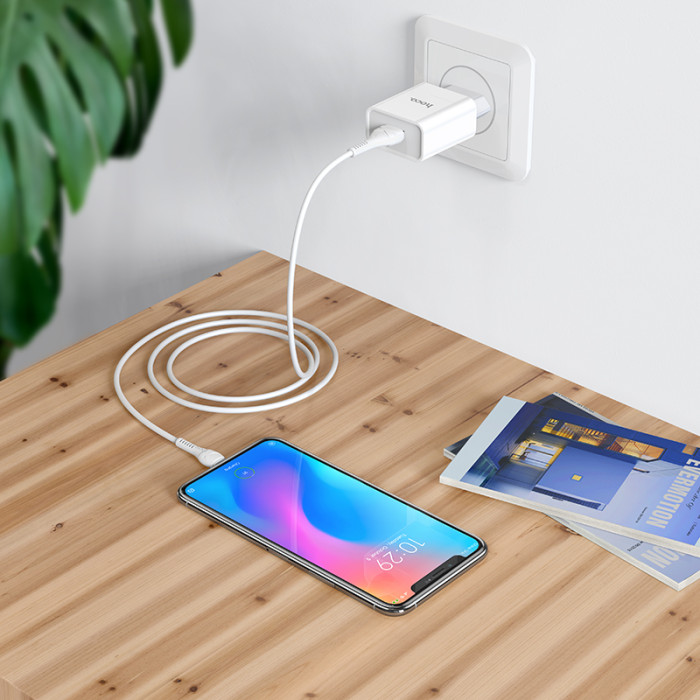 Мережевий зарядний пристрій з кабелем HOCO C81A Asombroso single port charger set(Type-C) White