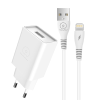 Мережевий зарядний пристрій з кабелем WUW-T82 Single USB home charger set iP