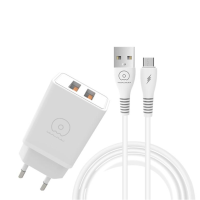 Мережевий зарядний пристрій з кабелем WUW-T55 2USB/3.1A set micro