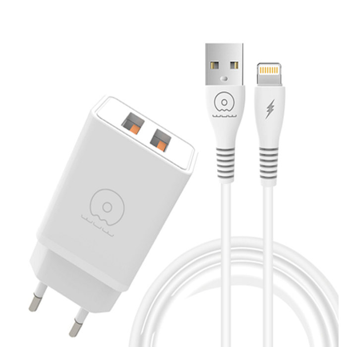 Мережевий зарядний пристрій з кабелем WUW-T55 2USB/3.1A set IP