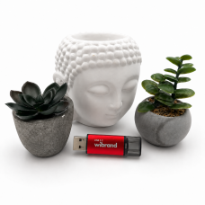 Флеш-накопичувач Wibrand USB 3.2 Gen1 Ladybug 16GB Red