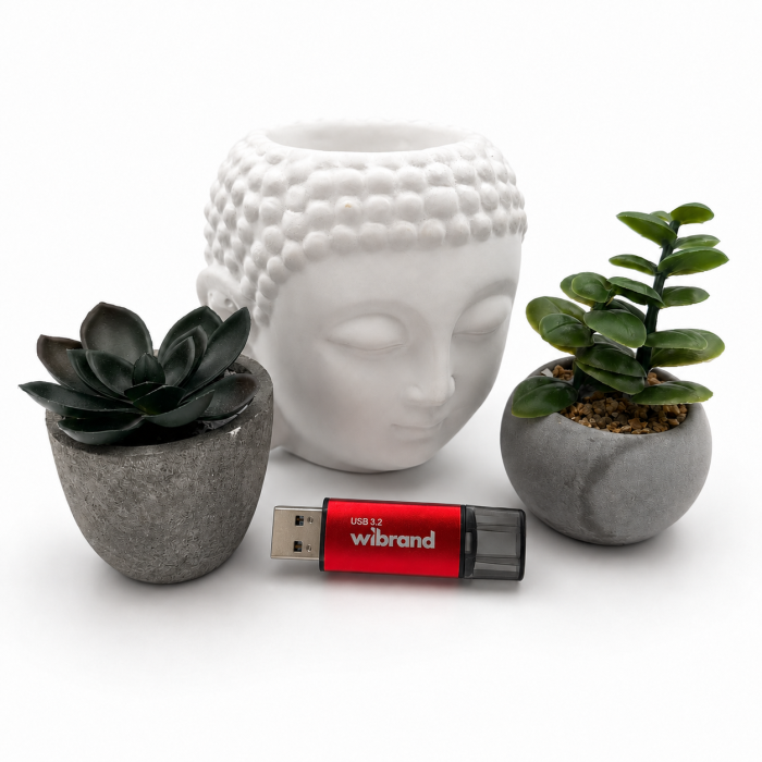 Флеш-накопичувач Wibrand USB 3.2 Gen1 Ladybug 16GB Red