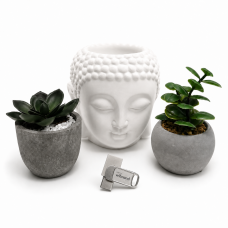 Флеш-накопичувач Wibrand USB 3.2 Gen1 Bee 128GB USB Type-A/USB Type-C Silver