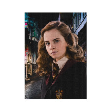 Пазл класичний Hard-M "Harry Potter. Портрет Герміони" 200577, 450 елементів DoDo Toys
